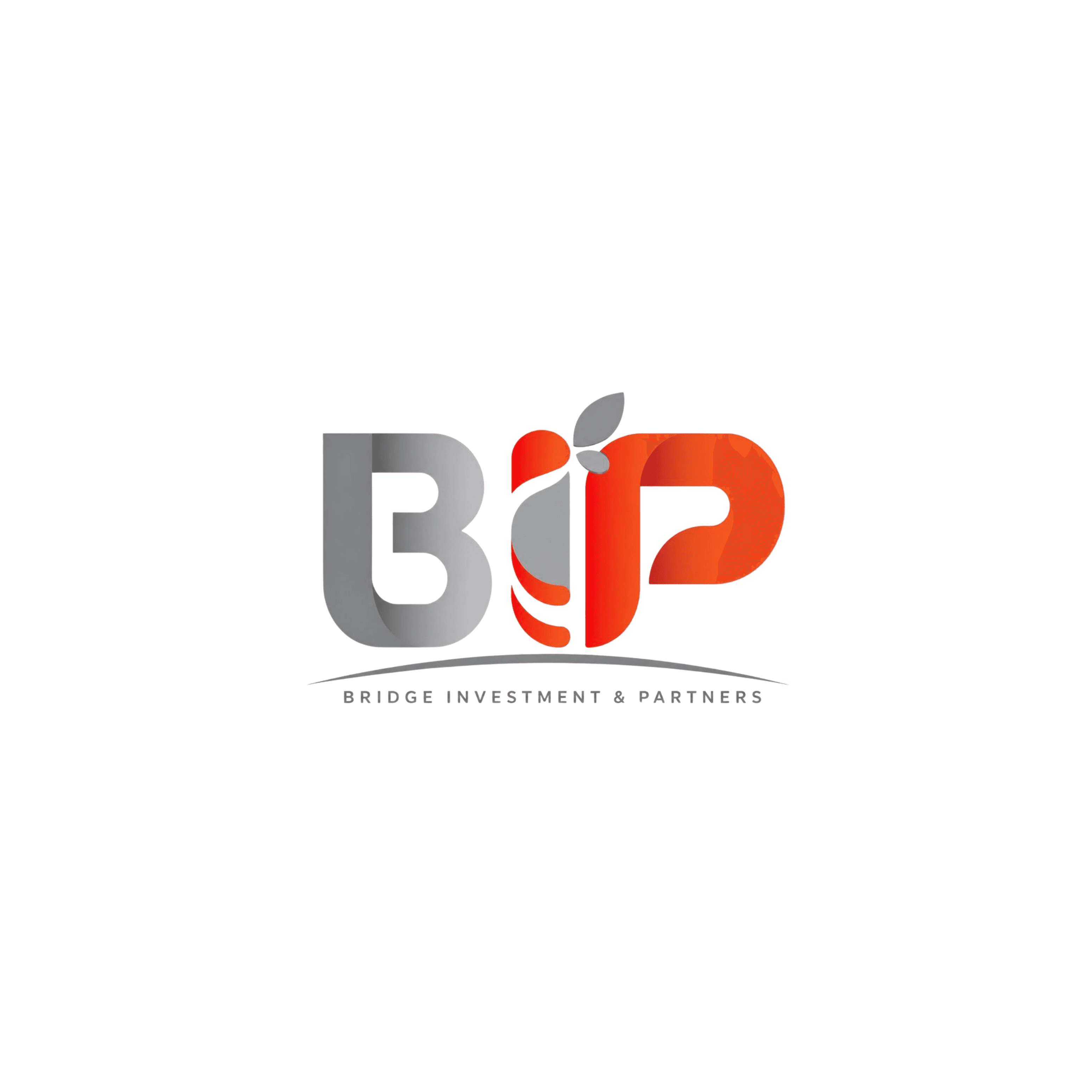 Bridge Investment & Partners